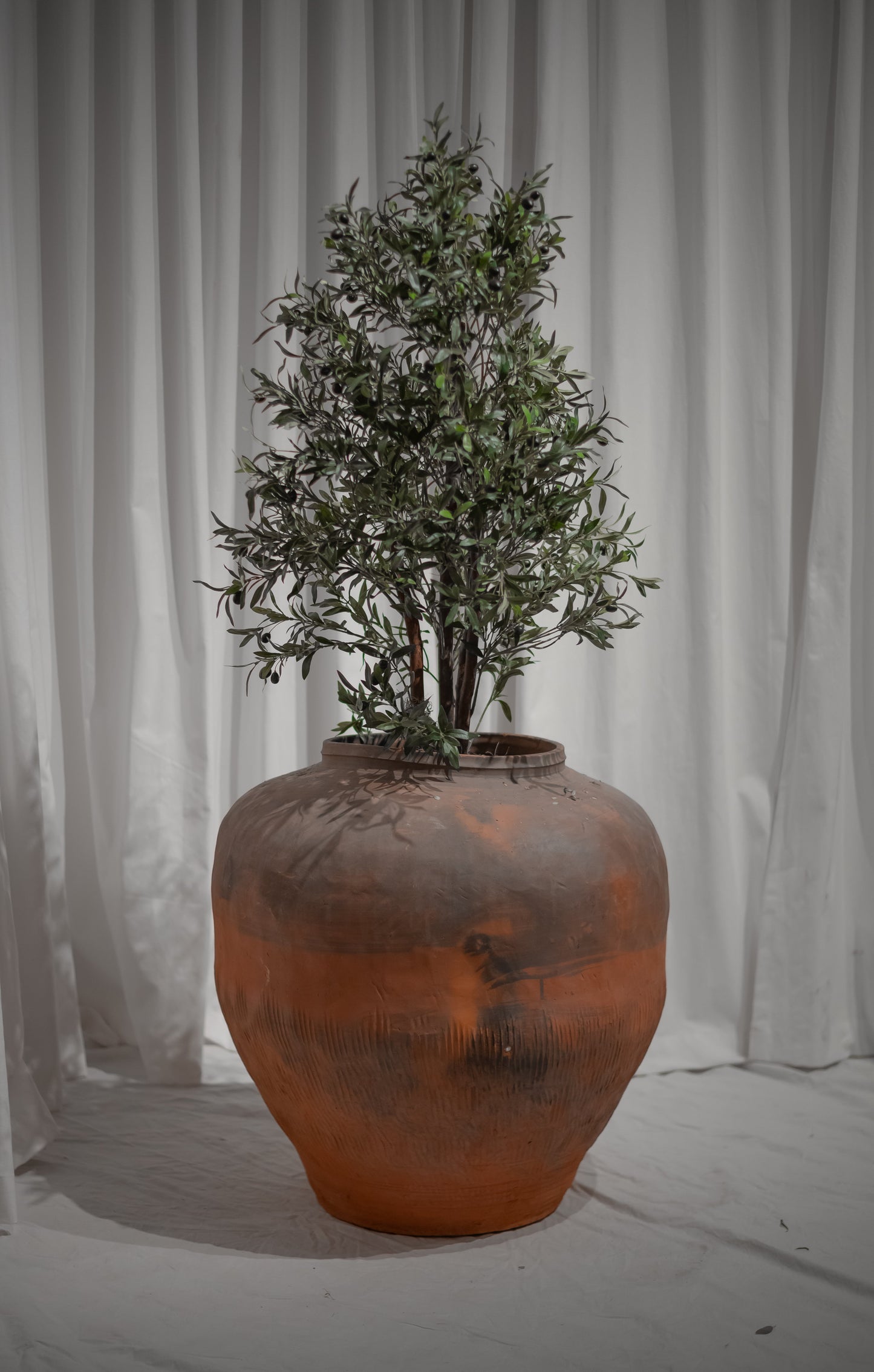 Terracotta Pot - L